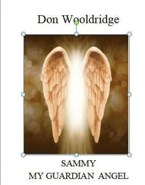Don Wooldridge - Sammy My Guardian Angel, E-bok. Tillgänglighet: Lägg i varukorg