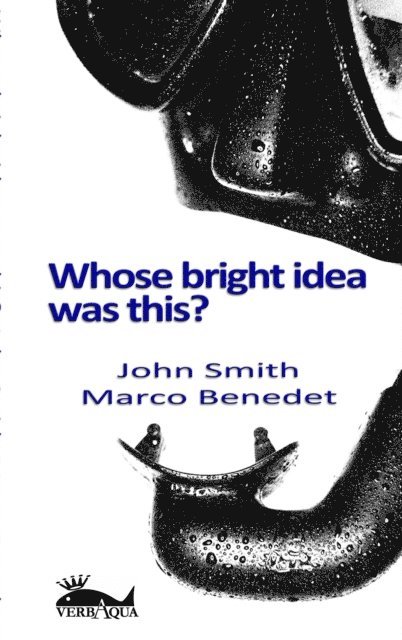John Smith - Whose Bright Idea Was This, E-bok