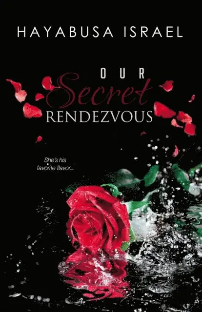 Hayabusa Israel - Our Secret Rendezvous (The Secret Series Book 2), E-bok. Tillgänglighet: Lägg i varukorg