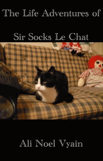 Ali Noel Vyain - Life Adventures of Sir Socks Le Chat, E-bok