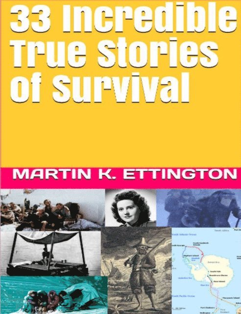 Martin Ettington - 33 Incredible True Stories of Survival, E-bok