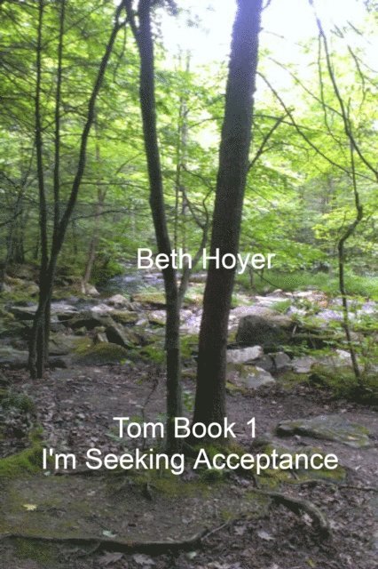 Beth Hoyer - Tom Book 1 I'm Seeking Acceptance, E-bok