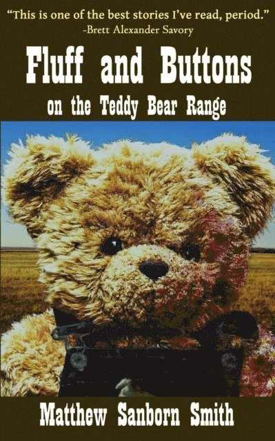 Matthew Sanborn Smith - Fluff and Buttons on the Teddy Bear Range, E-bok