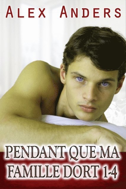 Alex Anders - Pendant que ma famille dort 1-4, E-bok