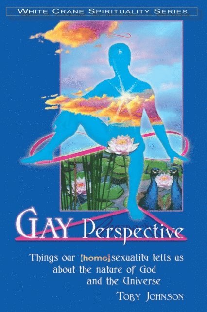 Toby Johnson - Gay Perspective: Things Our [Homo]sexuality Tells Us About the Nature of God and the Universe, E-bok