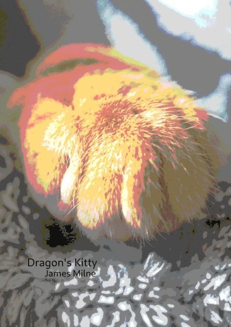 James Milne - Dragon's Kitty, E-bok. Tillgänglighet: Lägg i varukorg