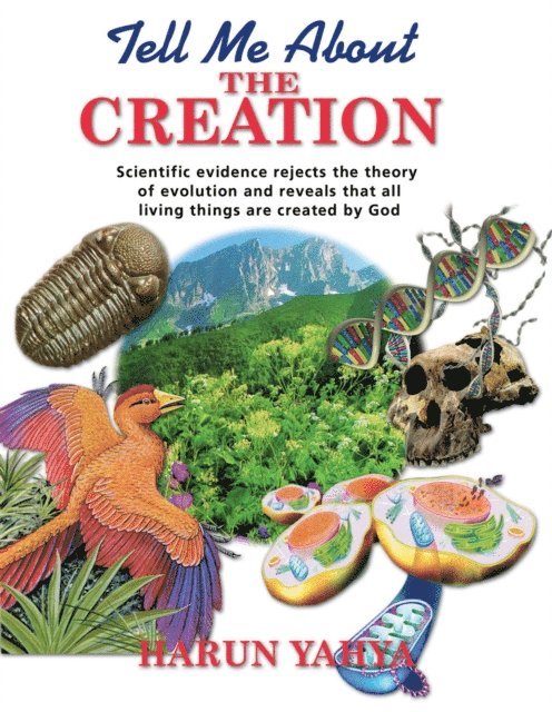Harun Yahya - Tell Me About the Creation, E-bok. Tillgänglighet: Lägg i varukorg