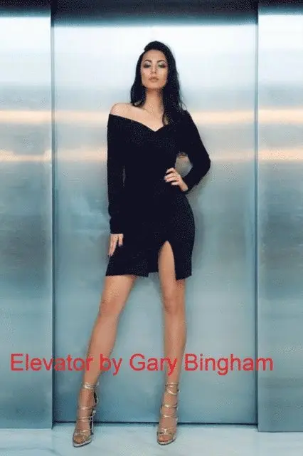 Gary Bingham - Elevator, E-bok. Tillgänglighet: Lägg i varukorg