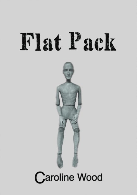 Caroline Wood - Flat Pack, E-bok