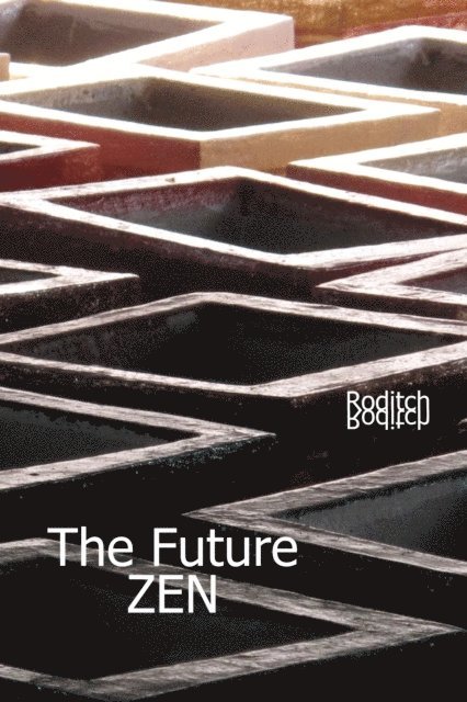 Roditch - Future Zen, E-bok. Tillgänglighet: Lägg i varukorg