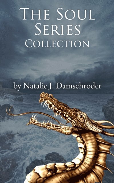 Natalie J. Damschroder - Soul Series Collection, E-bok
