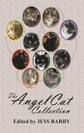 Angel Cat Collection