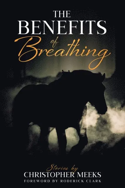 Christopher Meeks - Benefits of Breathing, E-bok. Tillgänglighet: Lägg i varukorg