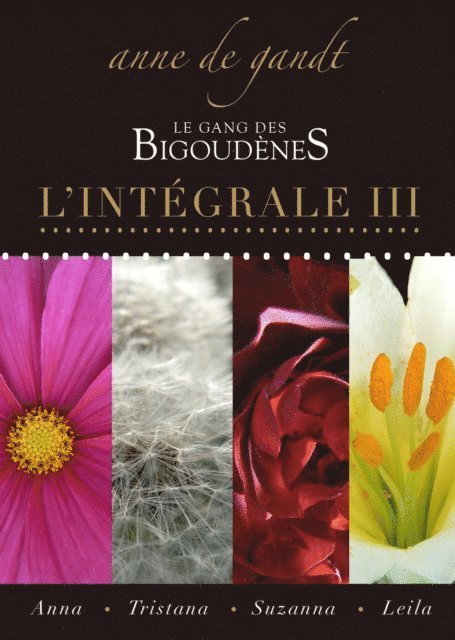 Anne de Gandt - Le Gang des bigoudenes: L'Integrale III, E-bok