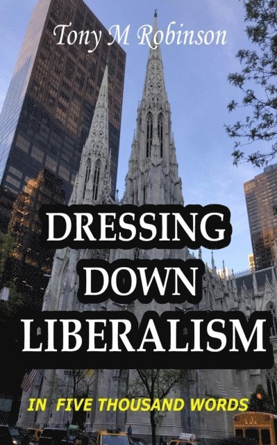 Tony Robinson - Dressing Down Liberalism in Five Thousand Words, E-bok