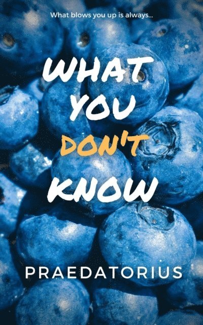 Praedatorius - What You Don't Know: A Blueberry Inflation Story, E-bok. Tillgänglighet: Lägg i varukorg