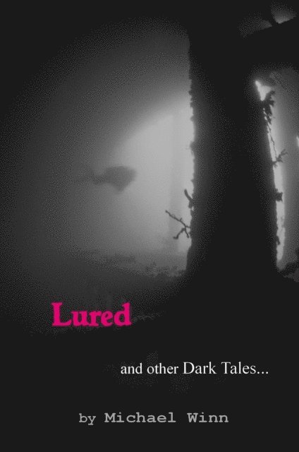Michael Winn - Lured and Other Dark Tales, E-bok