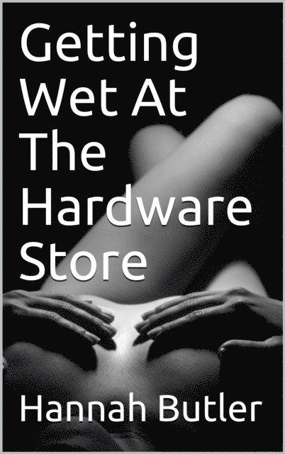 Hannah Butler - Getting Wet At The Hardware Store, E-bok