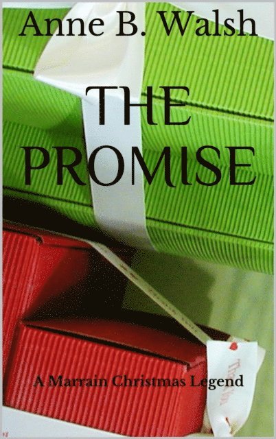 Anne B. Walsh - Promise, E-bok. Tillgänglighet: Lägg i varukorg