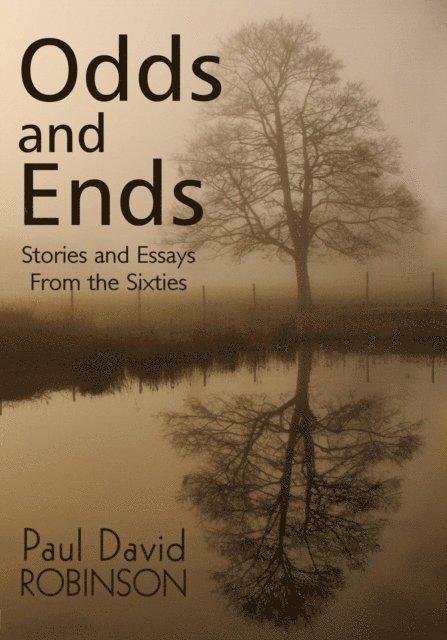 Paul David Robinson - Odds and Ends Stories and Essays From the Sixties, E-bok