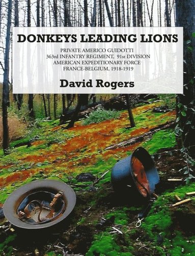 David Rogers - Donkeys Leading Lions: 363rd Infantry Regiment, 91st Division American Expeditionary Force, France-Belgium, 1918-1919, E-bok