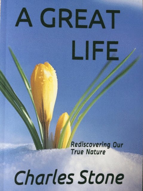 Charles Stone - Great Life: Rediscovering Our True Nature, E-bok