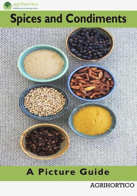 Spices and Condiments: A Picture Guide