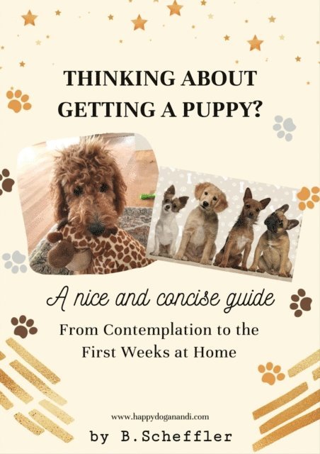 Thinking About Getting a Puppy?