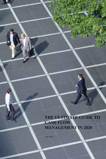 Peter Adams - Ultimate Guide To Cash Flow Management, E-bok