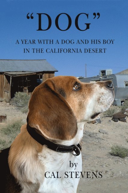&quote;Dog, A Year with a Dog and His Boy