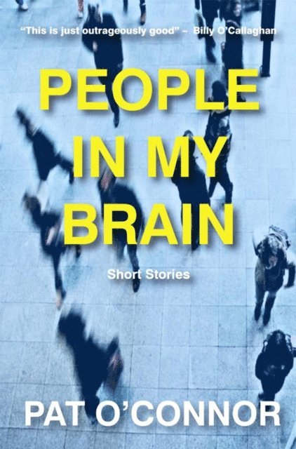 Pat O'Connor - People In My Brain, E-bok