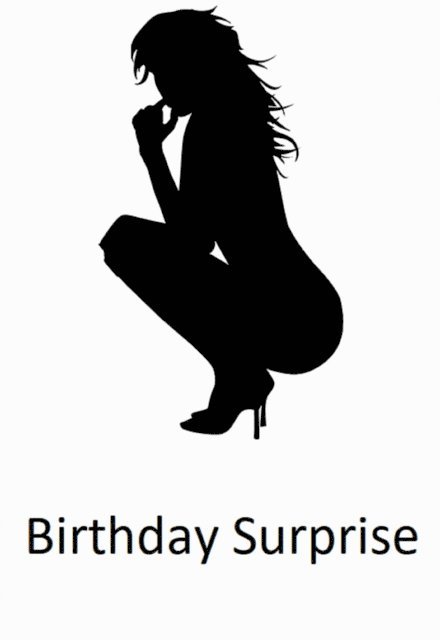 Emily Dickinson - Birthday Surprise, E-bok