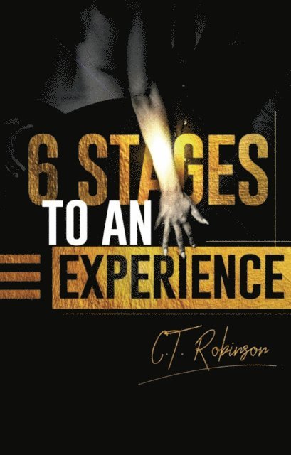 CT Robinson - 6 Stages To An Experience, E-bok
