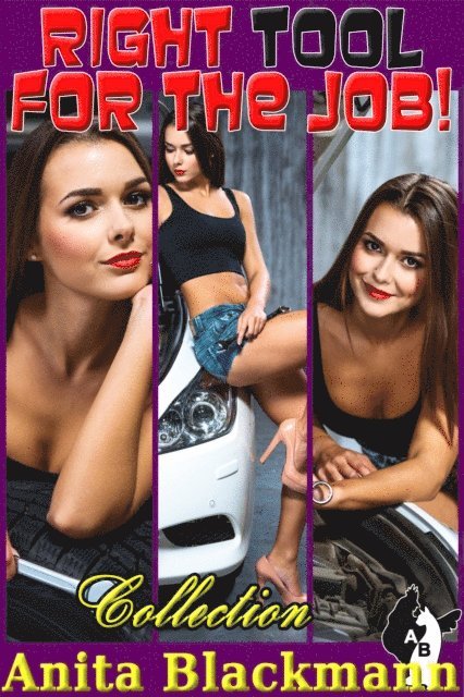 Anita Blackmann - Right Tool for the Job! Collection, E-bok