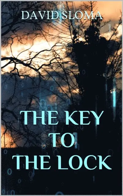 David Sloma - Key to the Lock, E-bok. Tillgänglighet: Lägg i varukorg