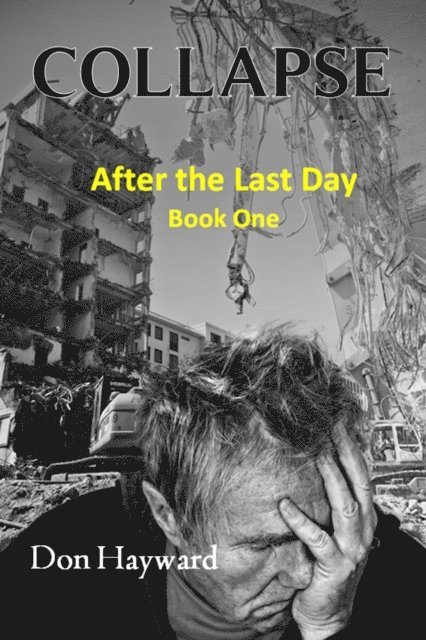 Don Hayward - Collapse:  After the Last Day Book One, E-bok