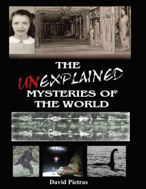 David Pietras - Unexplained Mysteries of the World, E-bok. Tillgänglighet: Lägg i varukorg