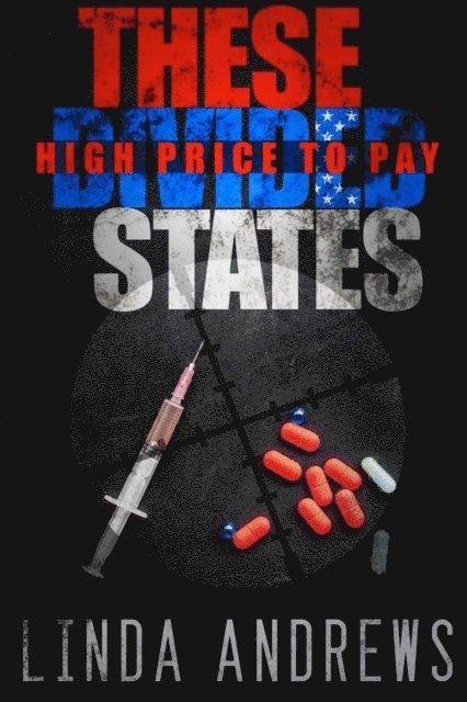 Linda Andrews - These Divided States: High Price to Pay, E-bok