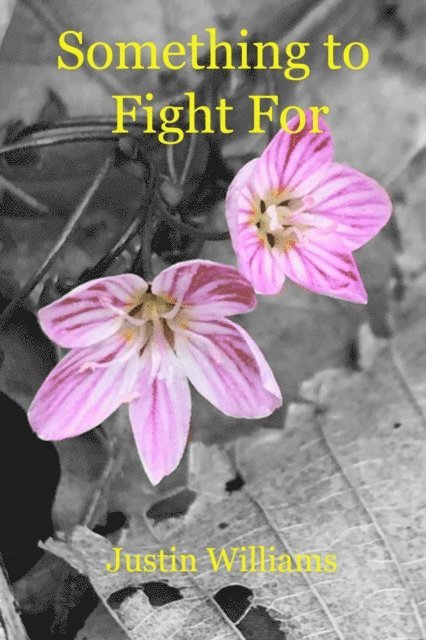 Justin Williams - Something to Fight For, E-bok
