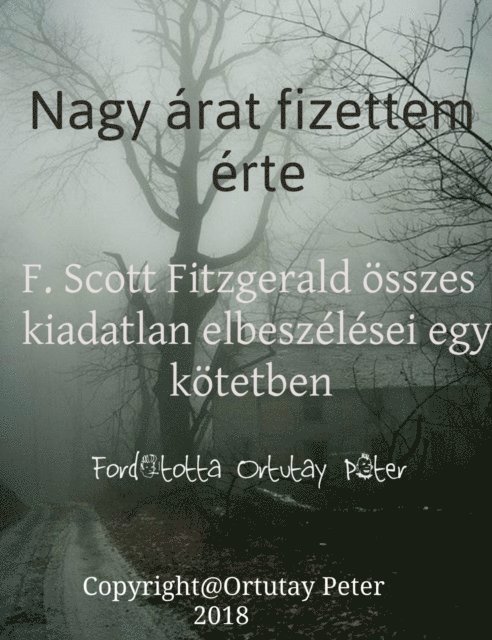 Peter Ortutay - Nagy árat fizettem érte, E-bok
