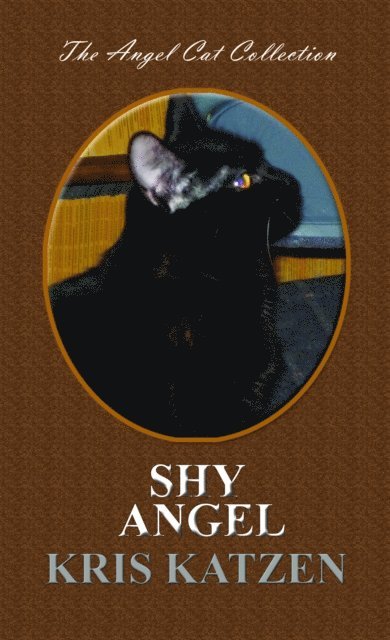Kris Katzen - Shy Angel, E-bok