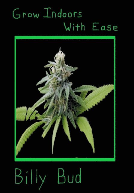 Grow Indoor With Ease