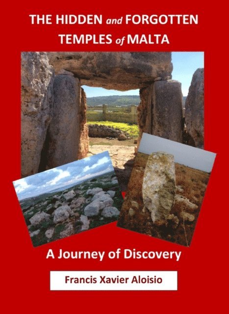 Francis Xavier Aloisio - Hidden and Forgotten Temples of Malta: A Journey of Discovery, E-bok