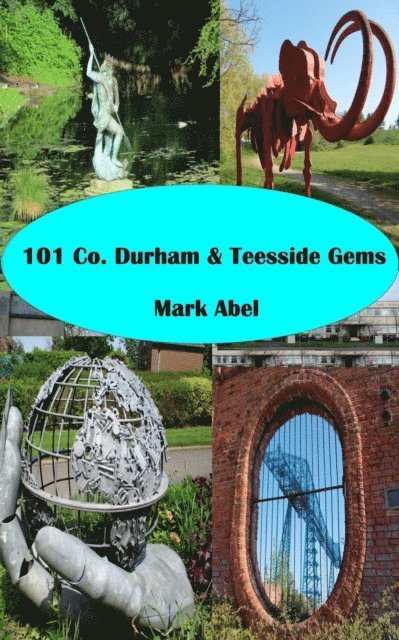 Mark Abel - 101  County Durham Gems, E-bok