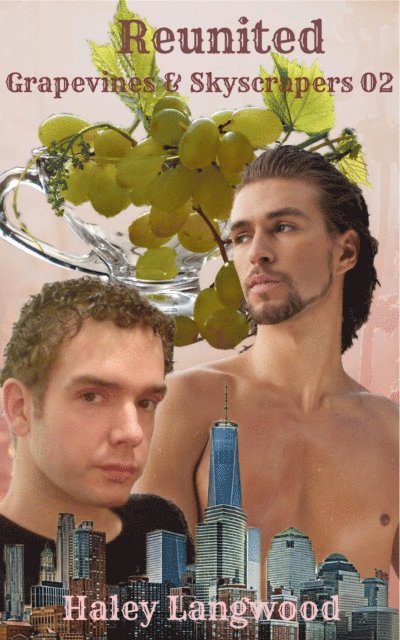 Haley Langwood - Grapevines & Skyscrapers Book Two Reunited, E-bok