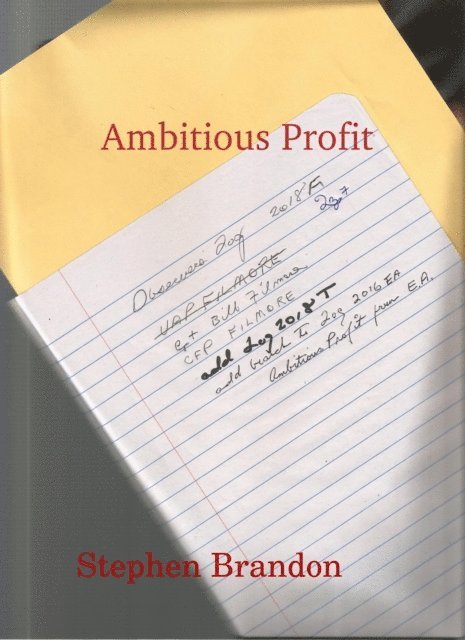 Stephen Brandon - Ambitious Profit, E-bok