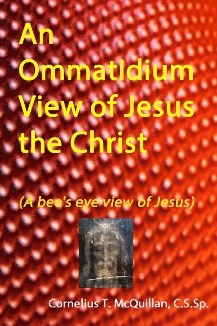 Cornelius McQuillan - Ommatidium View of Jesus, the Christ (A bee's eye view of Jesus), E-bok. Tillgänglighet: Lägg i varukorg
