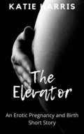 Elevator: An Erotic Pregnancy and Birth Short Story
