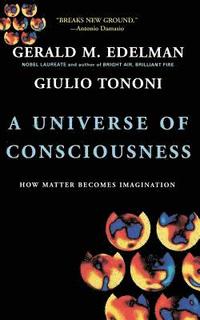 The Universe of Consciousness: How Matter Becomes Imagination