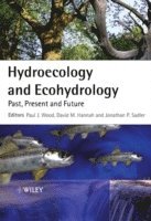 Hydroecology and Ecohydrology by Paul J Wood, David M Hannah, Jon P Sadler, Paul J Wood, David M Hannah